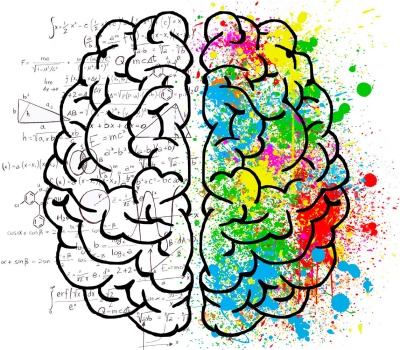 Atelier pratique le cerveau dans tous ses états : comprendre et gérer les comportements humains (3 jours)