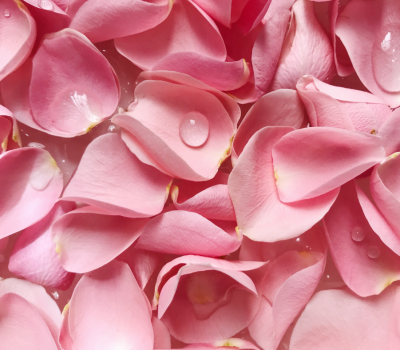 Le tuto du mois : scrub détoxifiant aux pétales de rose !